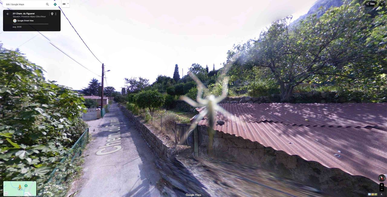 Spider street view