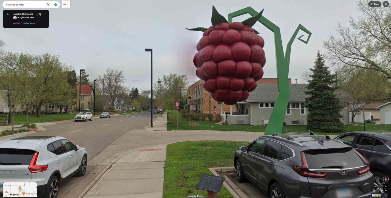The Worlds Largest Raspberry