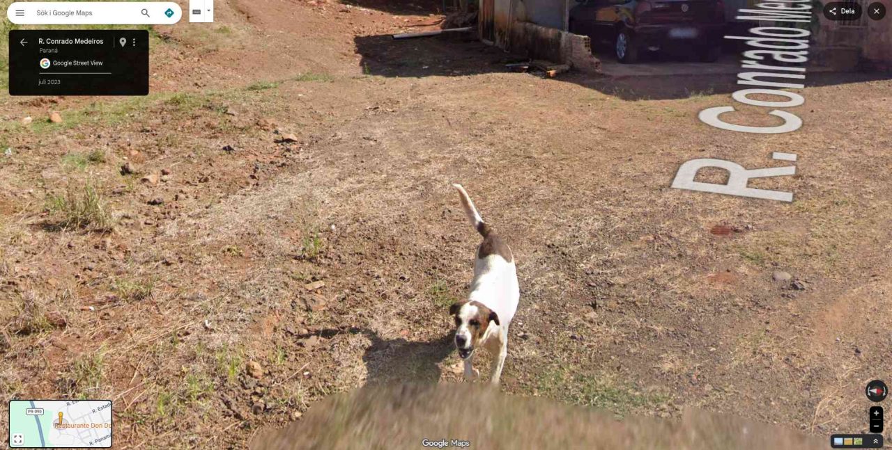 get out of here google