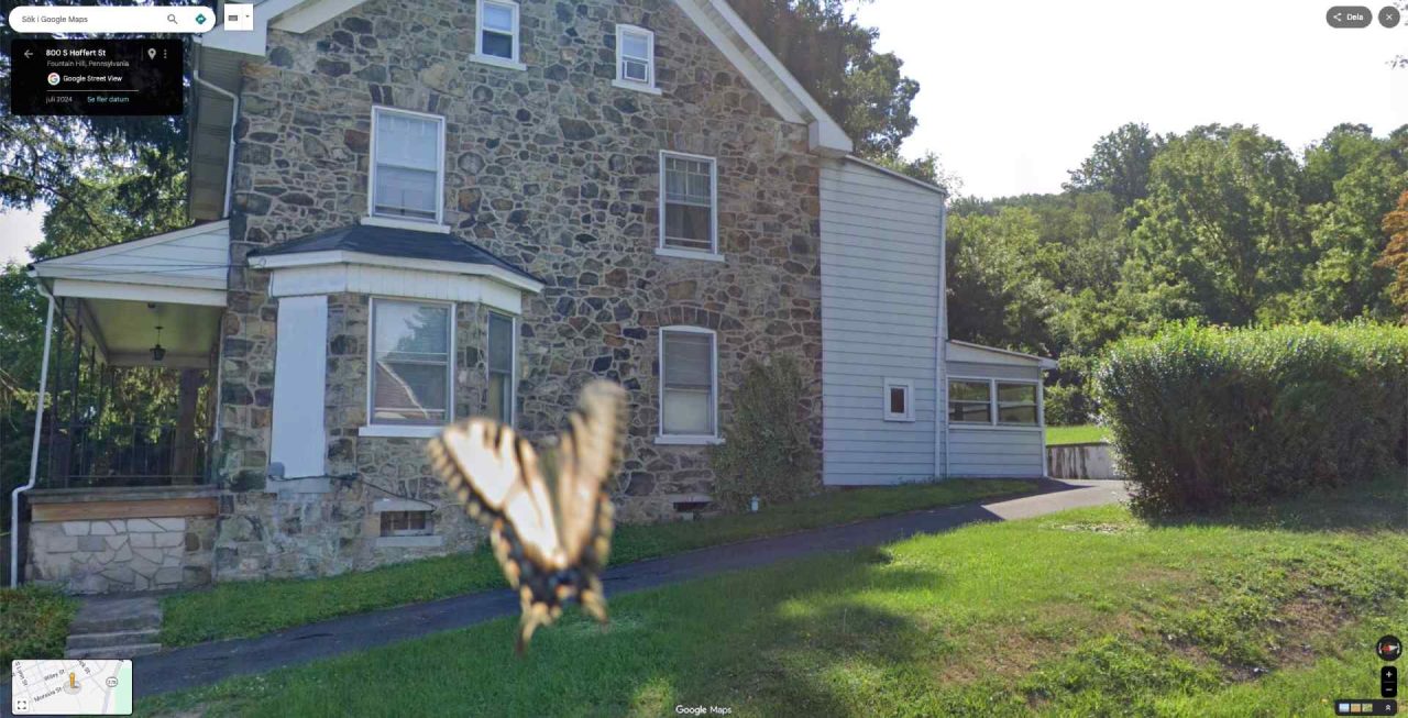 butterfly street view