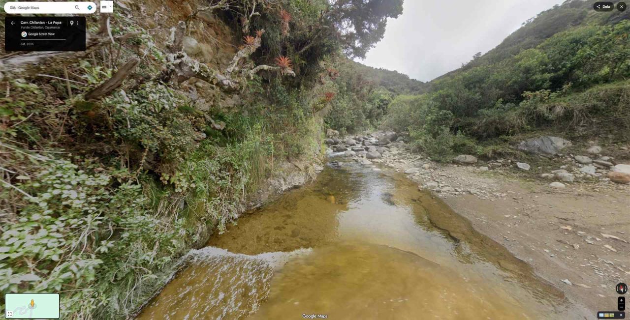 driving google car in the river