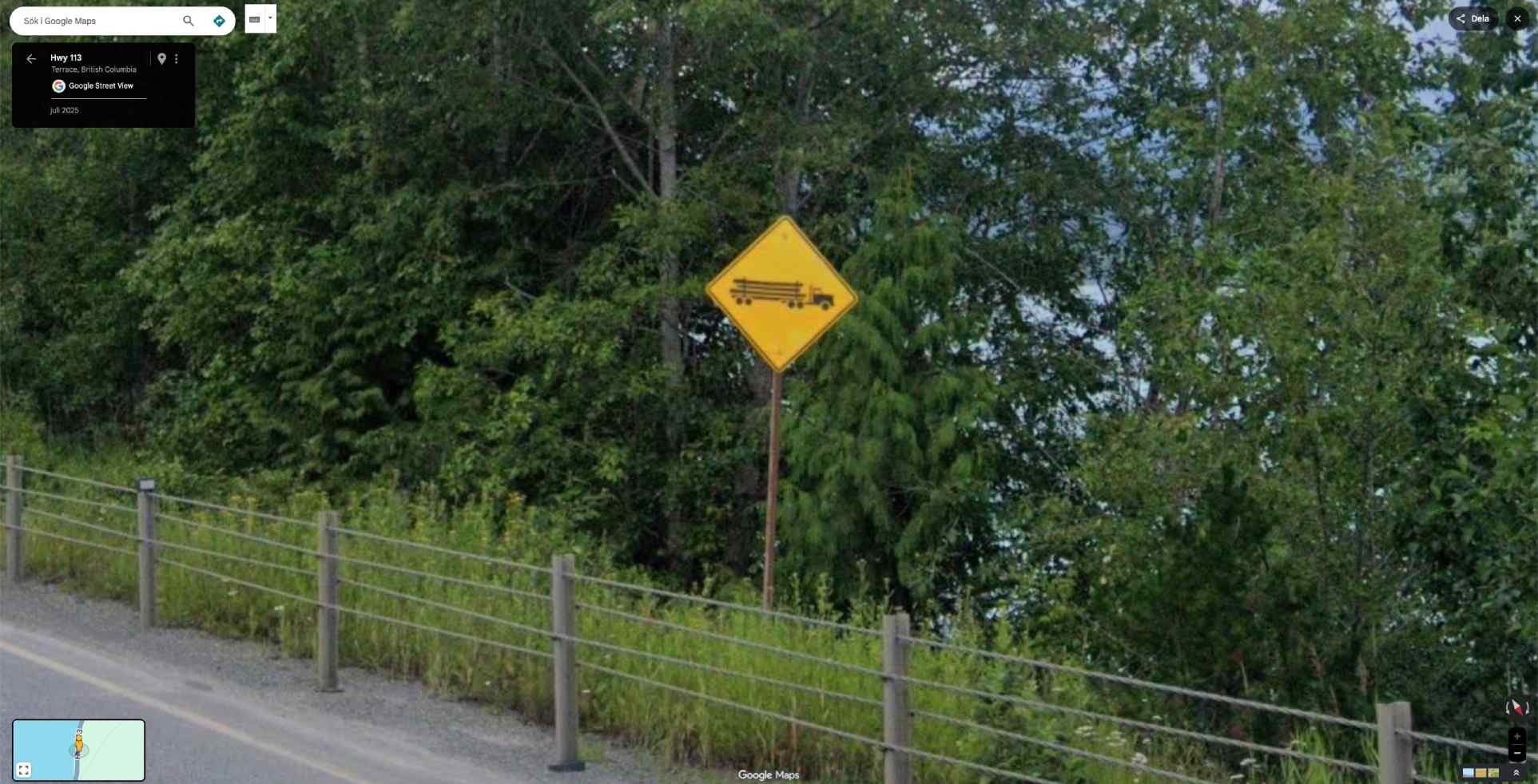 tree funny sign