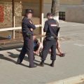 Tula police